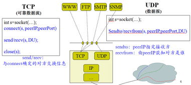 互联网概述与信息服务探析